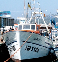 gacela