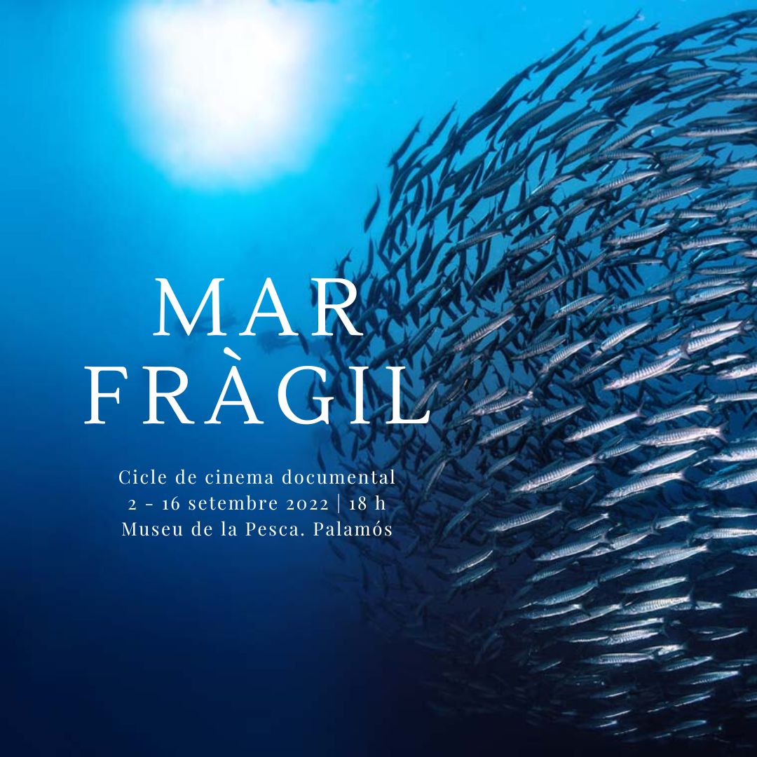 Nova edició de Mar fràgil, cicle de cinema documental al Museu de la Pesca