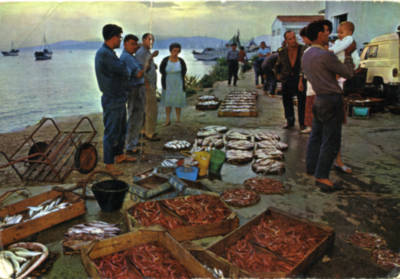 subhasta paneres gamba