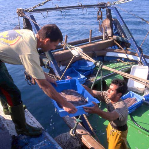 La pesca: activitat econòmica i forma de vida