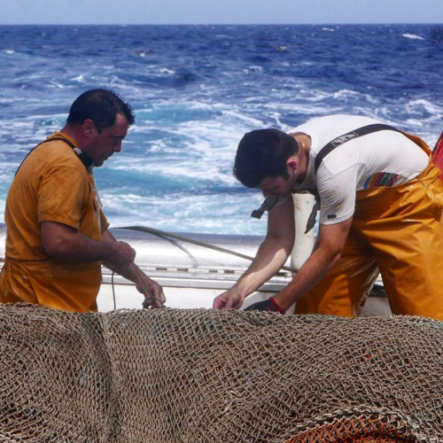 A l'art. Butlletí trimestral