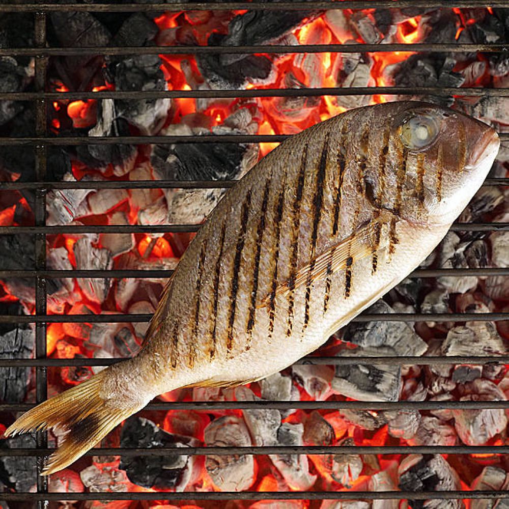 La cuina del peix a través dels cinc sentits