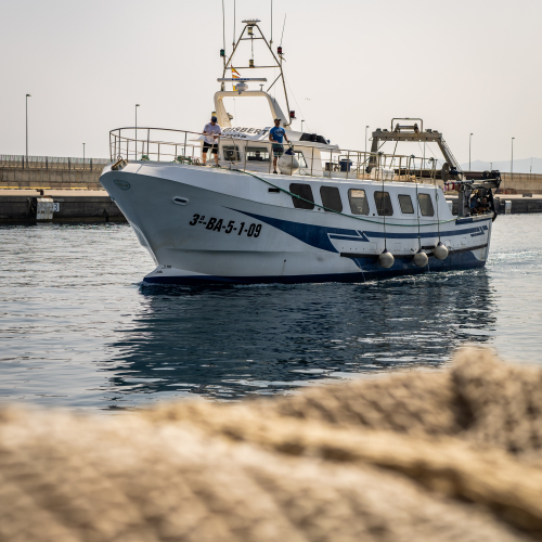 Nou període de veda a Palamós 