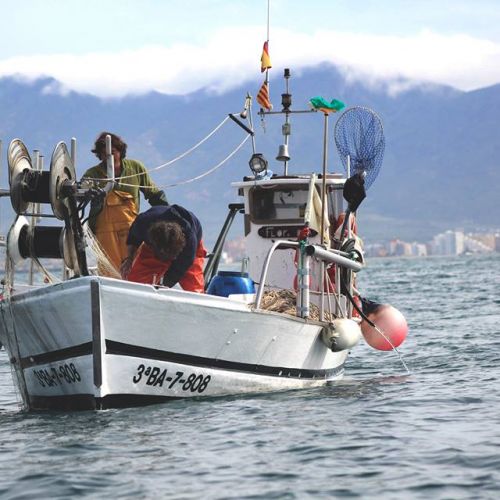 Legislació pesquera